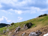 Weg zur Angerer Alm,#