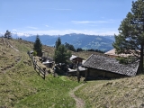 Steinalm,#
