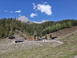 Steinalm unter dem <a href=/gipfel/persailhorn-5050/>Persailhorn</a>,#