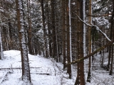 winterlicher Aufstieg,#