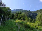 Am Wild-Zaun entlang,#