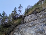 Seilsicherung,#