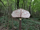 Wegweiser,#