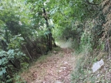 Alter Karrenweg,#