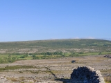 An der Trockensteinmauer entlang,#