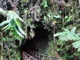 Nahuku - Thurston Lava Tube (Ausgang)