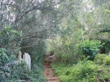 Trail,#
