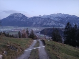 Oben Forststraße mit Kaiser-Blick,#
