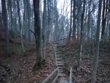 Unten der Höhenweg,#