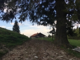  (Foto gespeichert zu Ausgangspunkt Obere Krainsberger Alm),#