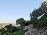 Im letzten Viertel Wanderweg statt Schotterstraße ,#