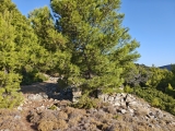 Rote Punkte auf dem Wanderweg ,#