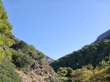 Am Ende durch ein idyllisches Bachtal,#