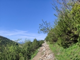 Der alte, breite Weg zum Alberfeldkogel (Foto gespeichert zu <a href=/wanderweg/feuerkogel-aberfeldkogel-htl-wels-klettersteig-einstieg-23133/>Weg</a>),#