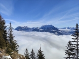 Kaiserblick,#