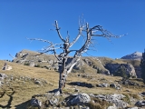 Hinten rechts die <a href=/freizeit/stevia-huette-153666/>Stevia Hütte </a> ,#