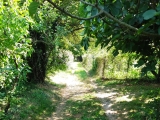 Fahrstraße,#