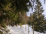 Grünbodensteig,#