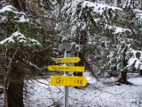 Abzweig zum Sulzkopf (Foto gespeichert zu <a href=/wanderweg/rechelkopf-wanderparkplatz-gaissach-lehen-22570/>Weg</a>),#