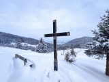 Kreuz oberhalb der Schmiedalm (Foto gespeichert zu <a href=/wanderweg/parkplatz-lederstube-riesenhuette-13735/>Weg</a>),#