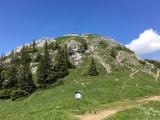 Nur wenige Meter sind es auf den Gipfel vom Wanderweg Taubensteinbahn-Rotwand