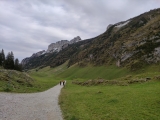 Forststraße zum Sämtisersee unter dem <a href=/gipfel/hueser-35540/>Hüser</a> (Foto gespeichert zu <a href=/wanderweg/berggasthaus-bollenwees-berggasthaus-plattenboedeli-23979/>Weg</a>) (Foto gespeichert zu Ausgangspunkt Hüser),#