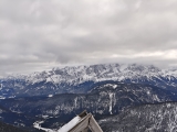 Schellkopf