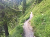 Zwischen <b>Geißalm</b> und Parkplatz (Foto gespeichert zu <a href=/wanderweg/geissalm-wanderparkplatz-siebenhuetten-1132/>Weg</a>),#