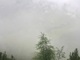 Steil durchs Fuchsloch,#