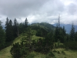 So selten begangen, dass man den Weg manchmal kaum noch erahnt.,#
