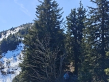 Aussichtsreiche Kammwanderung ,#
