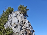 Kurze, seilgesicherte Stelle,#