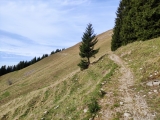 Weg,#