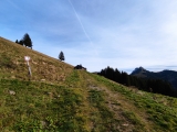Schönbergalm (Foto gespeichert zu Ziel Schönbergalm),#