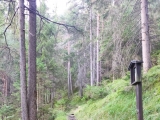 Über den Kreuzweg,#