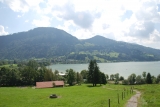 Vom Alpsee nach <a href=/freizeit/zaumberg-276/>Zaumberg</a> (Foto gespeichert zu <a href=/wanderweg/parkplatz-grosser-alpsee-zaumberg-1113/>Weg</a>) (Foto gespeichert zu Ziel Zaumberg),#