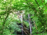 Blick von Weg an der Umzäunung auf den Wasserfall,#