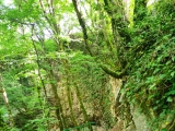 10m Ab- und Aufstieg,#