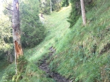 Schnell gewinnt man Höhenmeter zwischen <a href=/gipfel/kienstein-13870/>Kienstein</a> und <a href=/gipfel/sonnenspitz-6557/>Sonnenspitz</a> (Foto gespeichert zu <a href=/wanderweg/sonnenspitz-aussichtspunkt-kienstein-1561/>Weg</a>) (Foto gespeichert zu Ziel Kienstein),#