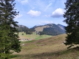 Blick zur <b>Untere Firstalm,</b>  Obere Firstalm und <a href=/gipfel/brecherspitz-1266/>Brecherspitz</a> (Foto gespeichert zu <a href=/wanderweg/suttenstein-stuempfling-17605/>Weg</a>),#