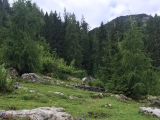 Markierte Pfeiler helfen den Weg bei der Grabenbergalm zu finden.,#