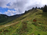 Links der breite weg zur Höfener Alm (tief) und der Weg über den Sattel beim Albengipfel zur Bergstation, rechts der Pfad auf den Hahnenkamm