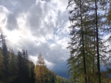 Oberhalb der Alm,#