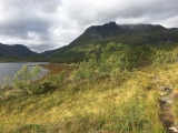 Zunächst am Fjord entlang,#