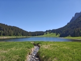 Voralpsee