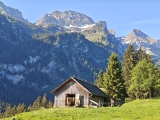 Ausblick,#