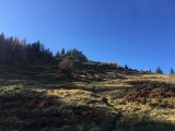 Ein kleiner Pfad führt zum Gipfel,#
