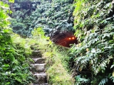 Zwischen den Tunnels rechts die Stufen hinab,#