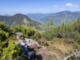 Wasserlahnerkopf