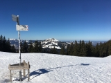 Noch 10 Minuten zum Gipfel - Blick auf den <a href=/gipfel/gruenten-128/>Grünten</a> (Foto gespeichert zu <a href=/wanderweg/buchel-alpe-wertacher-hoernle-2458/>Weg</a>) (Foto gespeichert zu Ausgangspunkt Grünten),#